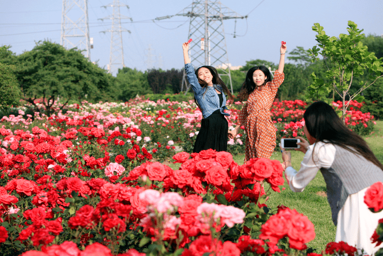 花草看個夠，四季美如畫！濱海新區(qū)這座后花園你打卡了嗎