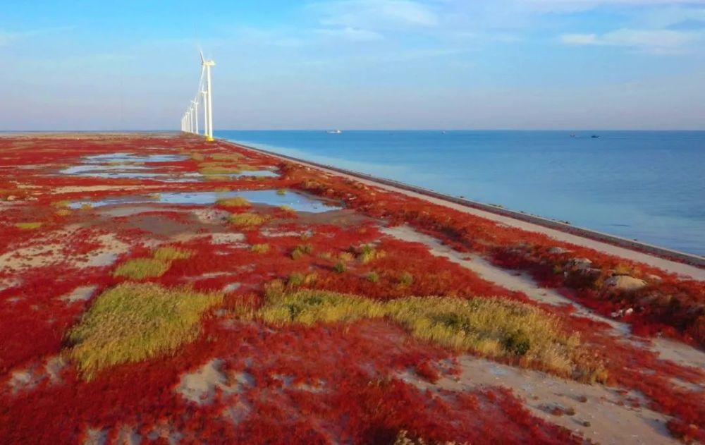 濱海新區(qū)驚現(xiàn)紅海灘，一半是海水，一半是“火焰”！