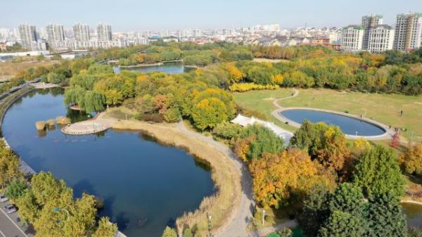 泰豐公園：鹽堿灘上崛起“四季女神”