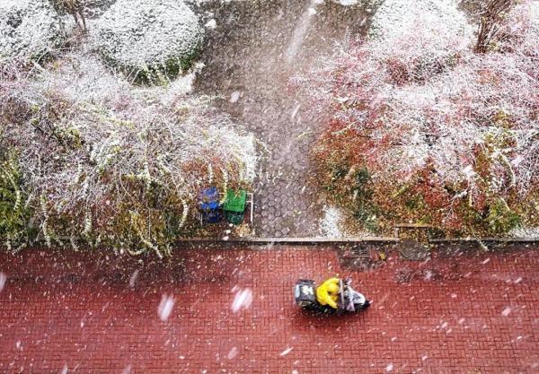 天津初雪來了！還有這些暖心暖胃好消息！