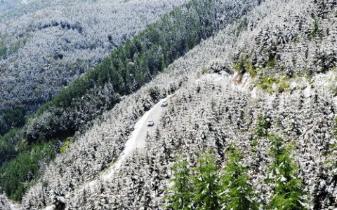 22日4時(shí)40分“小雪”：寒風(fēng)日勁，菊萎東籬