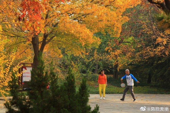 津門新地標！深秋的河東公園真的好美~