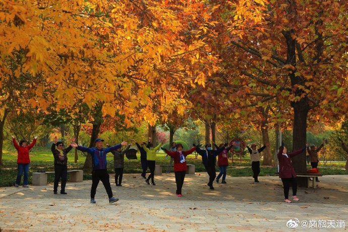 津門新地標！深秋的河東公園真的好美~