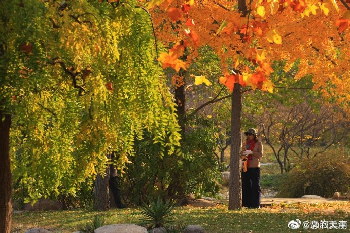 津門新地標！深秋的河東公園真的好美~