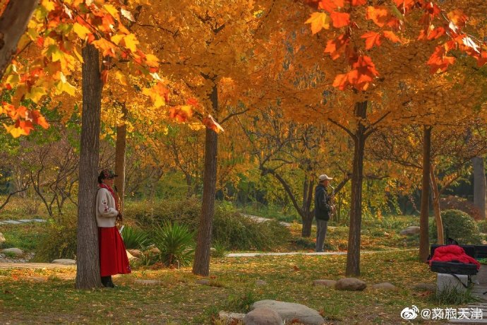 津門新地標！深秋的河東公園真的好美~