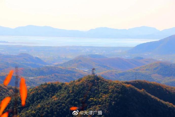 別白跑了！天津九龍山國家森林公園封園