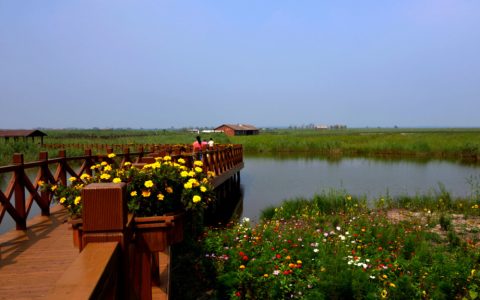 天津摘牌公園“走紅”，人稱津沽“明珠”，現(xiàn)今游客來往不斷