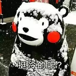 三級響應(yīng)！大風(fēng)呼嘯！凍手凍腳！天津還要下雪嗎？