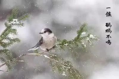 今日大雪！這些“長壽”食材一定要吃！