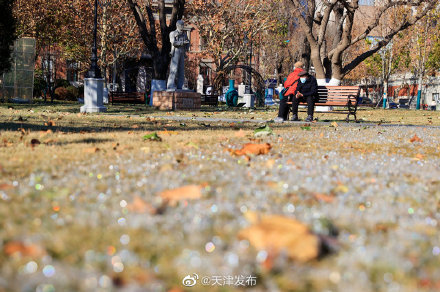 大雪不見雪 落葉滿津城