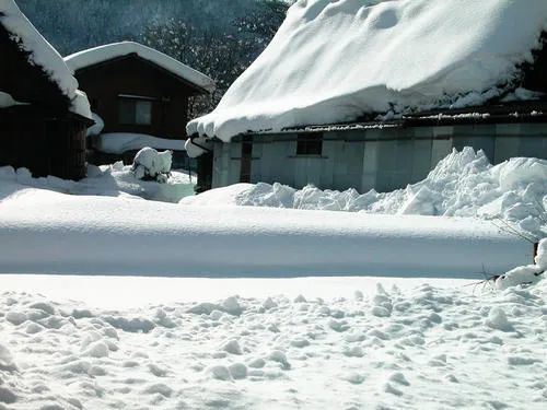 注意！今夜天津有雪，明日提早出門(mén)！