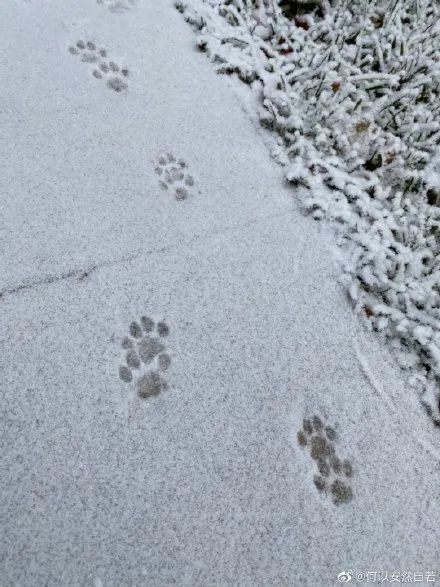 天津今天下雪了？重頭戲還在后面！