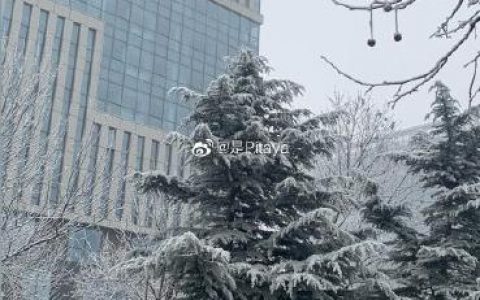 濱海人，今天最高氣溫-1℃！冷！