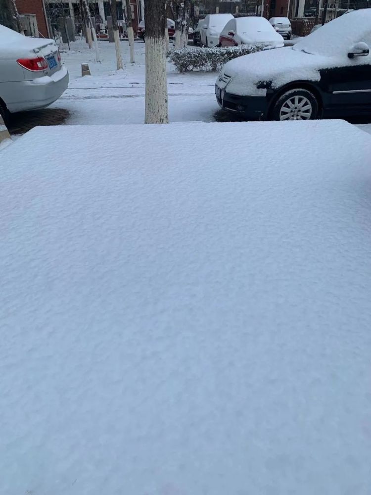 “雪姑娘”如約而至！濱海新區(qū)發(fā)布道路結(jié)冰黃色預(yù)警