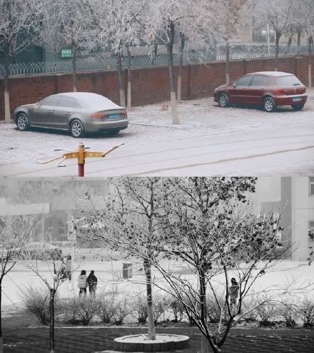 好開心，天津昨夜下雪了！未來還有好消息！