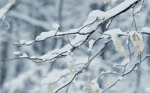 天津小雪霧霾接踵而來