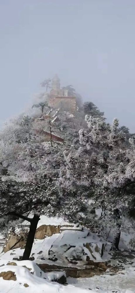 天津大霧預警！這些高速入口封閉！明兒又要變天！