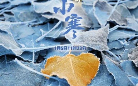 -20℃！“寒潮”來(lái)襲，天津發(fā)布緊急通知！