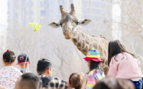 走！去動物園看動物