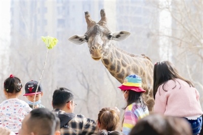 走！去動物園看動物