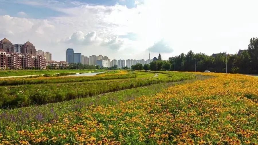 新進展！遛娃好去處! 天津這個區(qū)有這些綠化公園......