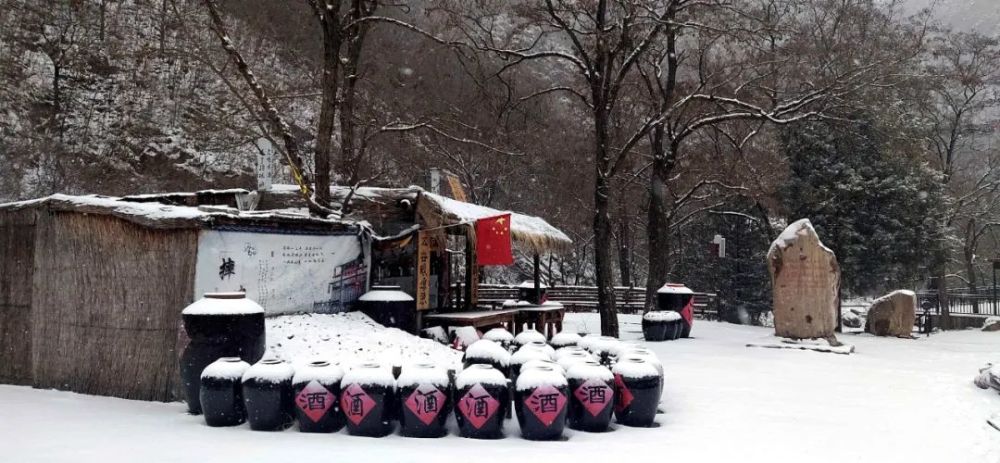 牛年的第一場雪，喚醒了薊州“梨木臺”