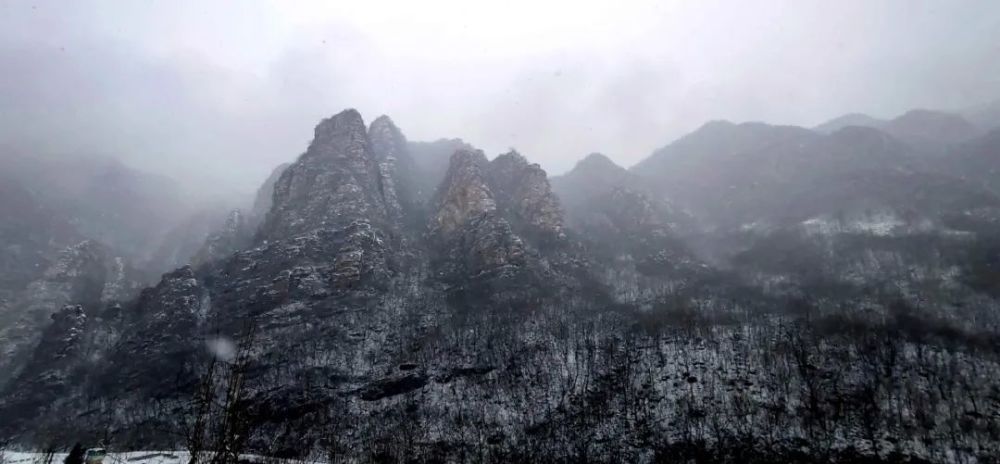 牛年的第一場雪，喚醒了薊州“梨木臺”