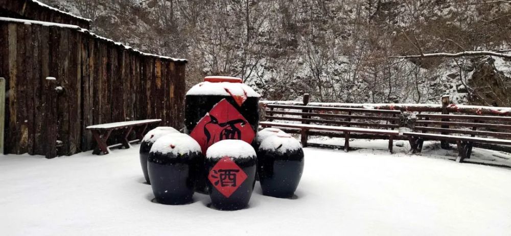 牛年的第一場雪，喚醒了薊州“梨木臺”