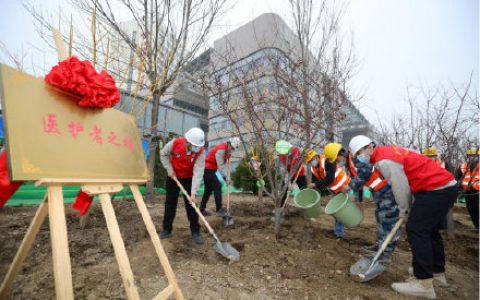 天津一中心醫(yī)院新址開始綠化施工 建“醫(yī)護(hù)者之林”