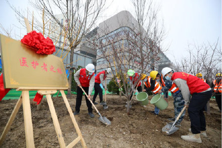 天津一中心醫(yī)院新址開始綠化施工 建“醫(yī)護(hù)者之林”