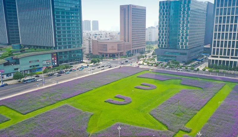 濱城賞花全攻略來咯！承包你一整年的心動瞬間！