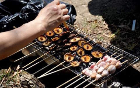 太期待了!  天津這里將打造戶外野餐燒烤區(qū)