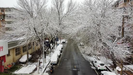 天津雪景圖新鮮到貨！路面情況如何?高速、機場受影響嗎?