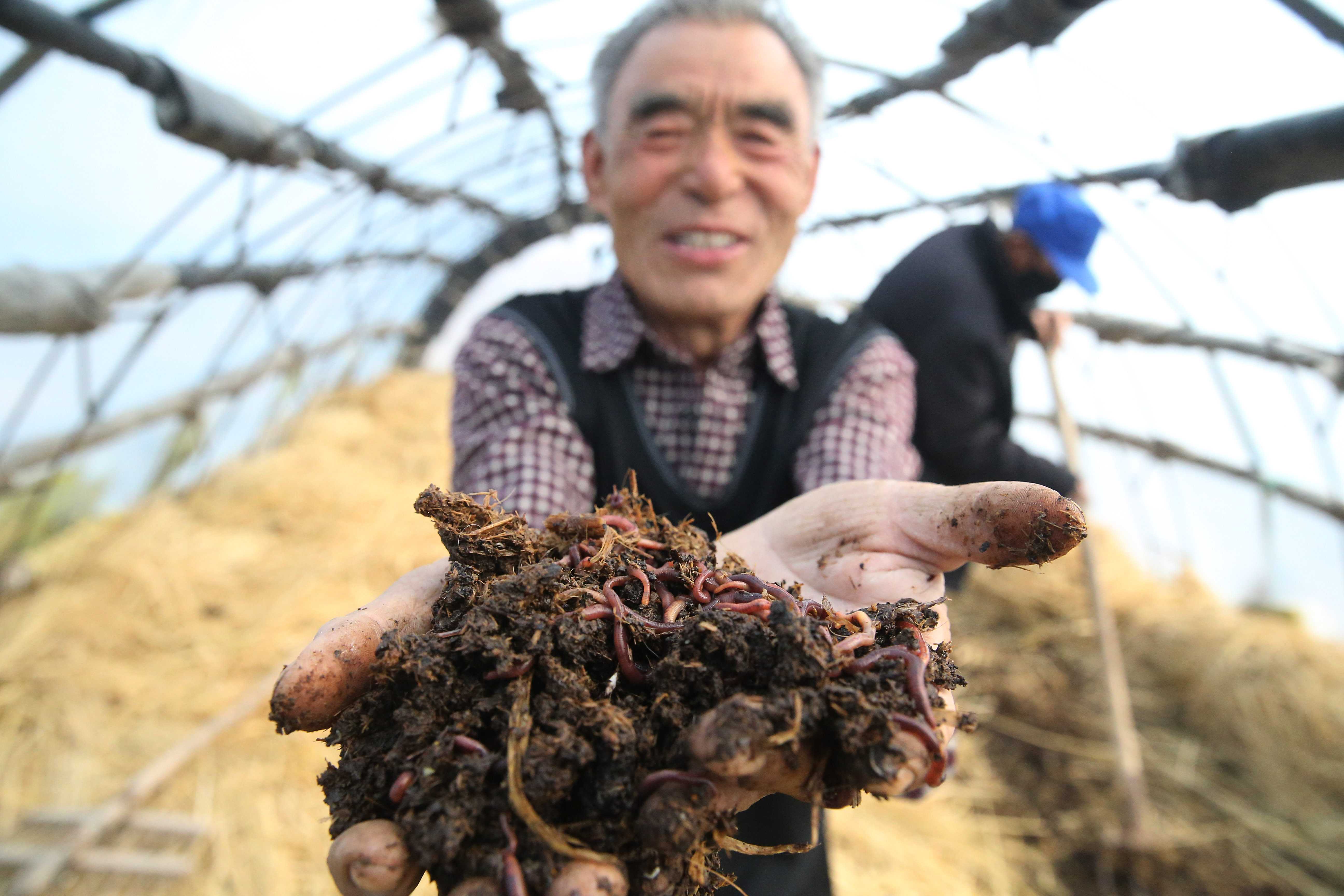 天津民生生物工程股份有限公司引領(lǐng)地龍行業(yè)快速發(fā)展