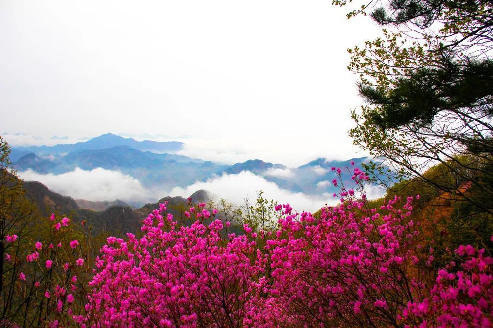 天津爬山好去處大盤點(diǎn)，五一來這里兜風(fēng)，爽到飛起！