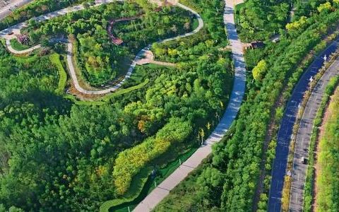 中新天津生態(tài)城加速城市配套建設 補齊民生項目短板