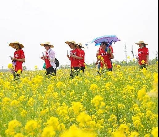 濱城首屆鄉(xiāng)村振興健步行暨小王莊鎮(zhèn)第二屆油菜花節(jié)成功舉辦！