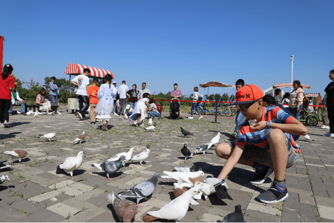 這個周末“游”點意思——打卡團泊火烈鳥酒店周末親子游