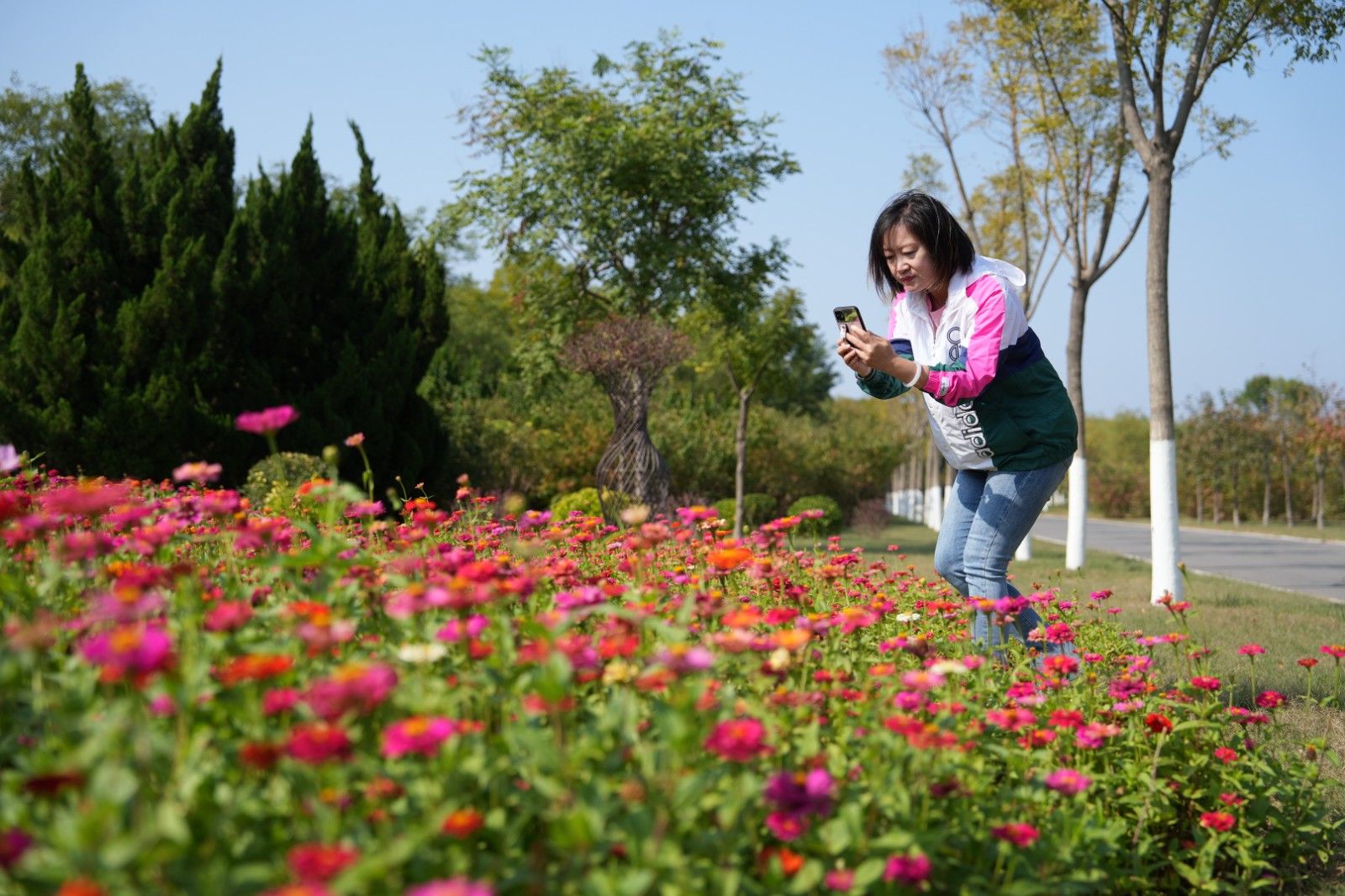 金秋十月 紅的、紫的、粉的、黃的......臨港濕地公園植物呈現(xiàn)多彩面貌