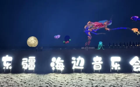 “沙灘啤酒節(jié)，醉美東疆灣”——海邊音樂會在東疆灣沙灘景區(qū)開啟